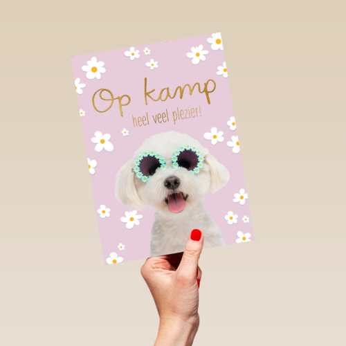 Hond op kamp