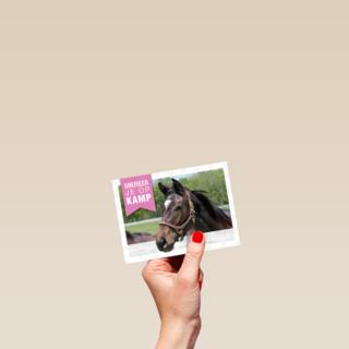 amuseer je op paardenkamp