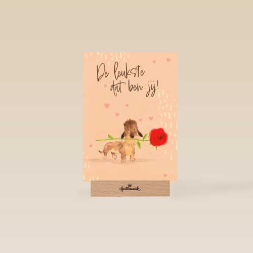 De leukste dat ben jij   hond