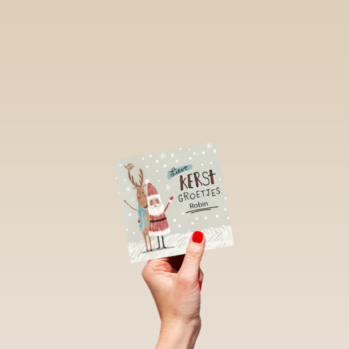 kerstkaart lieve kerstgroetjes robin