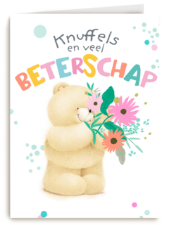 Forever Friends knuffels beterschap