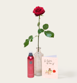 Single Roos Rood Met Vaas en Ayurveda Foam