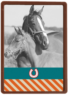 fotokaart voor paarden