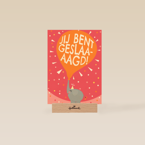 Olifant Jij bent geslaagd