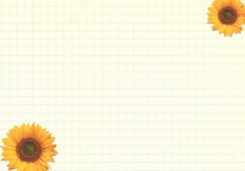 beterschapskaart met zonnebloemen