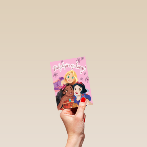Veel plezier op kamp Disney Princessen