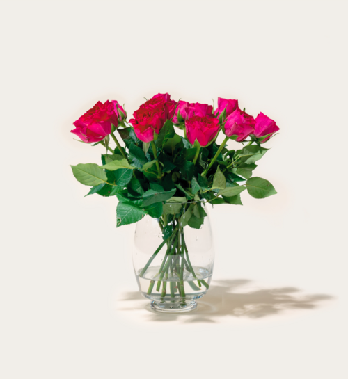 Brievenbusbloemen Rozen Paars