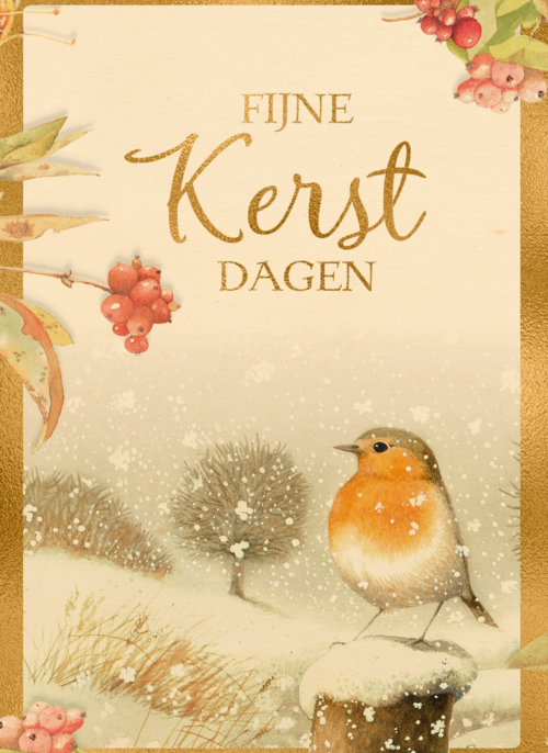 Houten kaart Kerst | Hallmark | Houten kaart Kerst | Hallmark | Kerstkaart marjolein bastin winter roodborstje