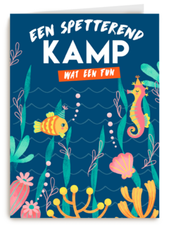 Sporta een spetterend kamp