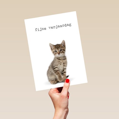 Verjaardagskaart Furry cuddles poes