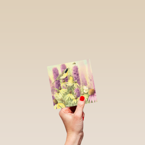 marjolein bastin blanco bloem en vogel