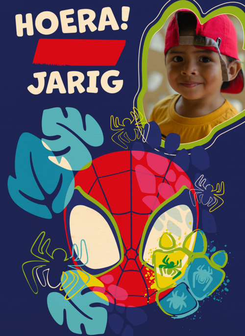Spidey and friends Verjaardagskaart