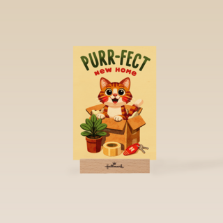Nieuwe Woning Purrfect New Home