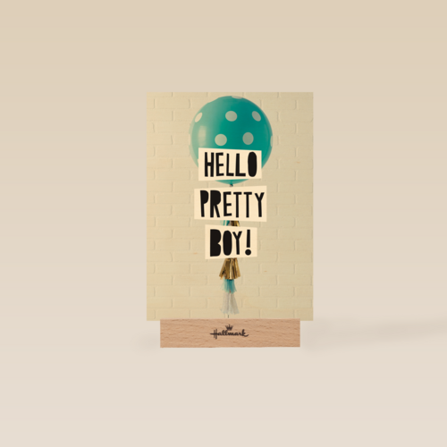 geboorte zoon hello pretty boy