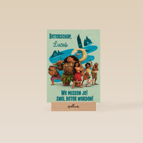 Disney Vaiana 2 Beterschap