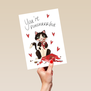 Valentine You are purrfect Matia