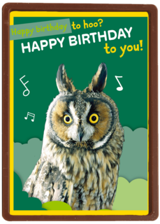 Happy Birthday to hoo