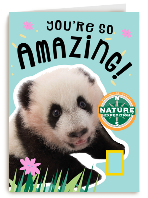verjaardag kaart pandabeer