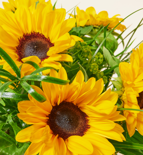 Boeket Zonnebloemen Toon