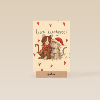 Kerstkaart kat matia studio