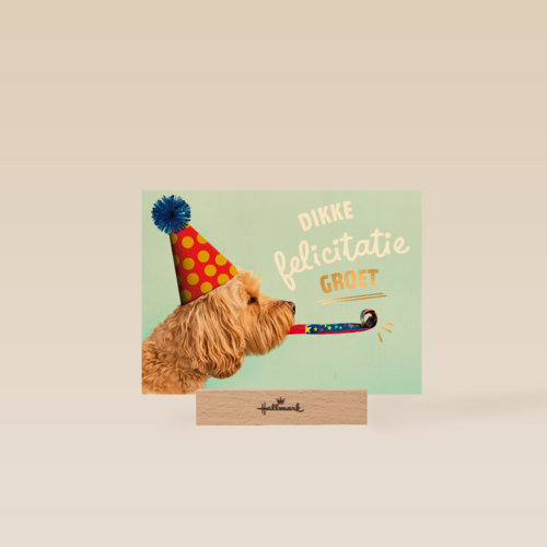 hond met feesthoedje dikke felicitatiegroet kaart