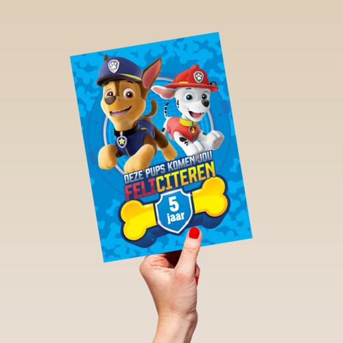 Paw Patrol kaart deze pups komen jou feliciteren