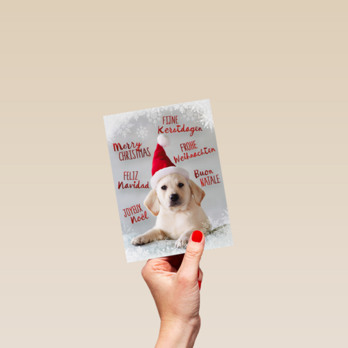 kerstpuppy met muts