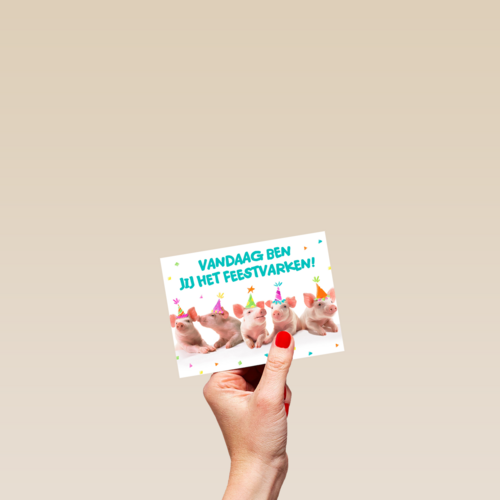 vijf feestvarkens op een rij