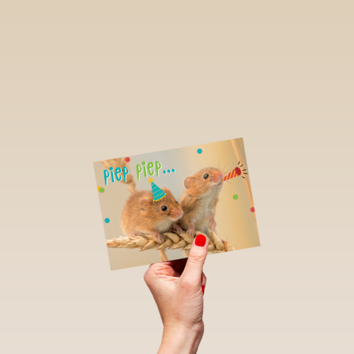 animal fiesta piep piep