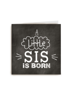 a little sis is born