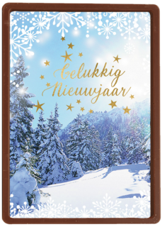 nieuwjaarskaart klassiek sneeuwlandschap