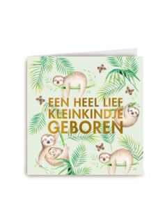 een heel lief kleinkindje geboren