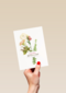 botanical kaart beterschap met een bloemetje