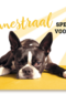animal fiesta een zonnestraal speciaal voor jou