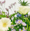 Boeket Bloemen Gabriël