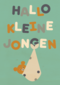 Hallo kleine jongen geboortefelicitatie