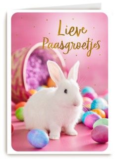Paaskaart met wit konijntje