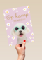 Hond op kamp