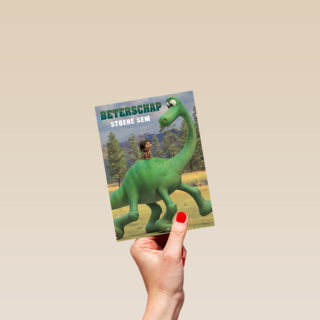 beterschap van spot en arlo