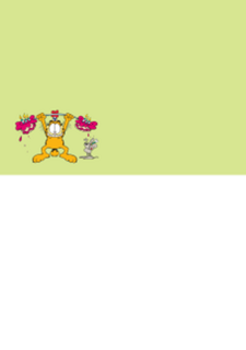 Garfield jij bent zwaar jarig