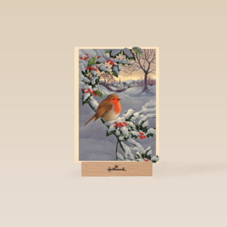 roodborstje op besneeuwde tak