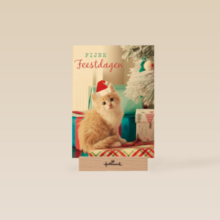 kerstkaart fijne feestdagen feest