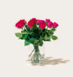 Brievenbusbloemen Rozen Paars
