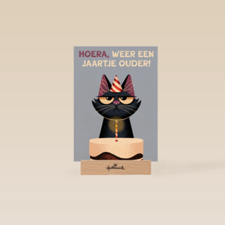 Verjaardagskaart Grumpy Folio weer een jaartje ouder lila