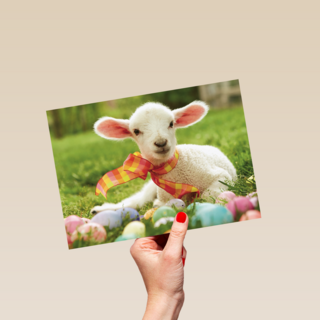 schattig lammetje met een sjaaltje en paaseitjes om zich heen