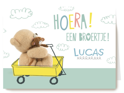 Hoera een bere baby broertje