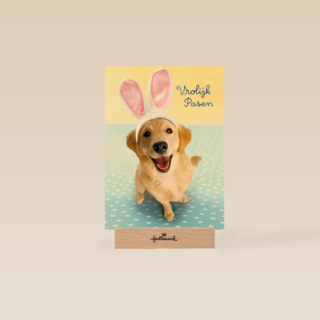 Pasen kaart hond met Paashaas oren