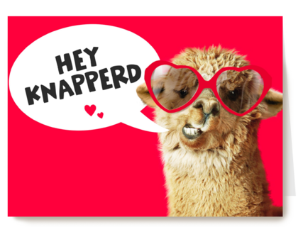 valentijnskaart grappig hey knapperd lama