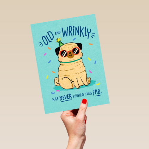verjaardag kaart grappig old and wrinkly has never looked this fab