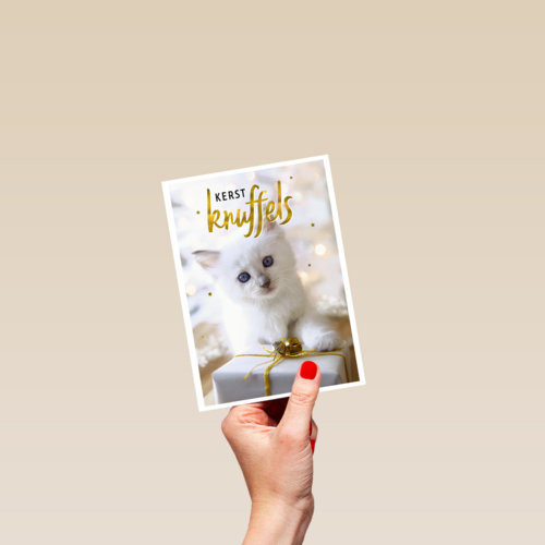 kerstknuffel van een kitten